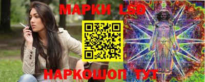сатива Новокубанск