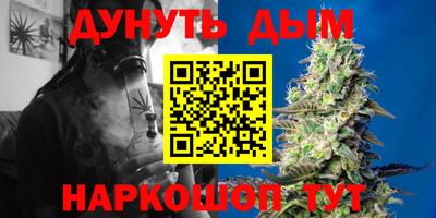 сатива Новокубанск