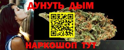 сатива Новокубанск