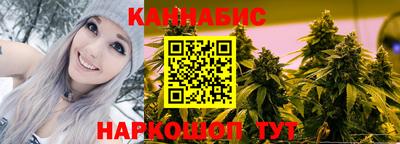 сатива Новокубанск