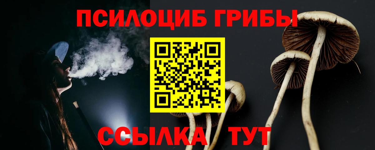 Псилоцибиновые грибы прущие грибы  Вход с VPN  Десногорск 
